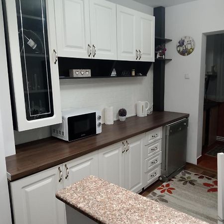 Penti Apartament Suceava Exteriör bild